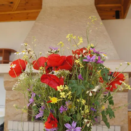 Gospodarstwo wiejskie Country House On Stara Planina 26